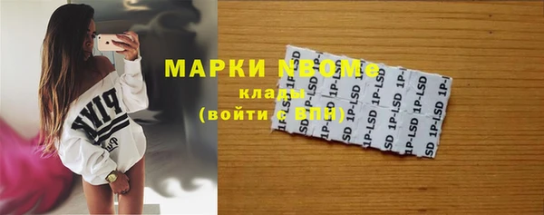 индика Горно-Алтайск