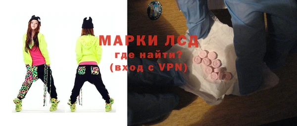 индика Горно-Алтайск