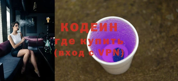 индика Горно-Алтайск