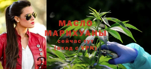 индика Горно-Алтайск